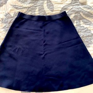 CAbi navy skirt